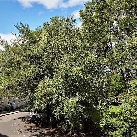 Berkeley Square Pads