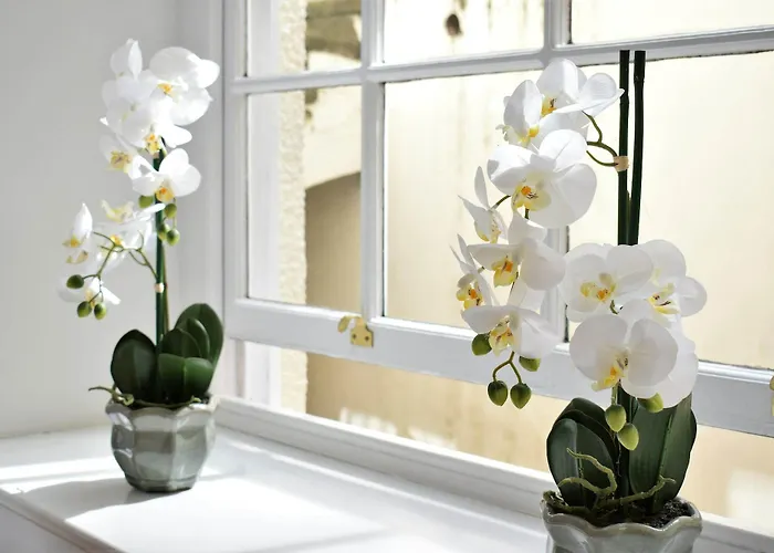 Berkeley Square Pads *