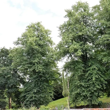 شقة Berkeley Square Pads بريستول