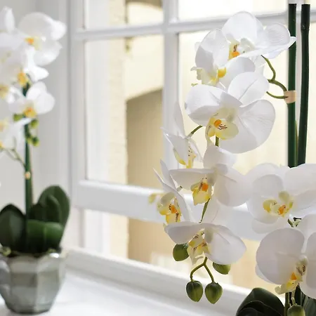 شقة Berkeley Square Pads بريستول