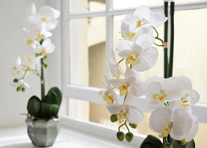 아파트 Berkeley Square Pads 브리스틀